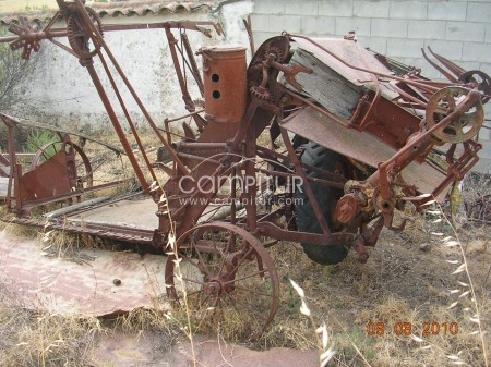 Antigüedades 