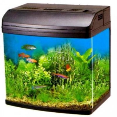 Acuario 56 litros en perfecto estado. 