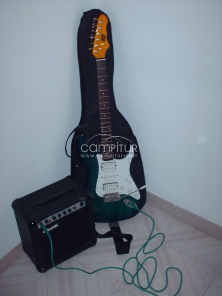 VENDO GUITARRA ELECTRICA+CABLE+FUNDA+AMPLIFICADOR