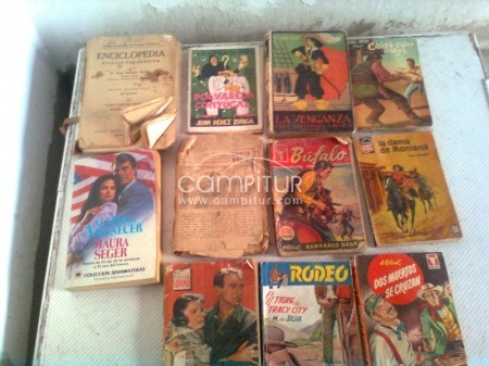 Foto 4 de LIBROS Y NOVELAS