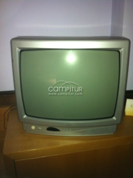 SE VENDEN  TV Y TDT