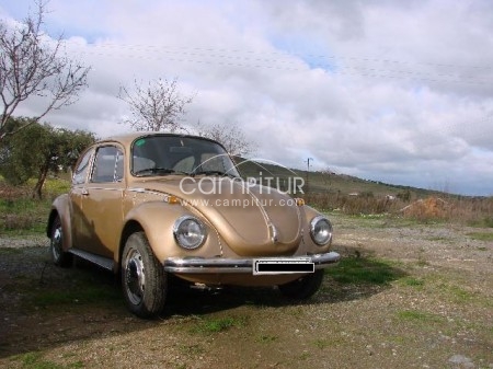 SE VENDE ESCARABAJO