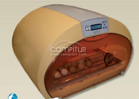 Foto 4 de VENTA DE INCUBADORAS FIEM VICTORIA