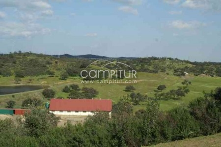 FINCA DEHESA RUSTICA EN SEVILLA EN VENTA