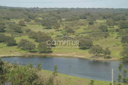 Foto 2 de FINCA DEHESA RUSTICA EN SEVILLA EN VENTA