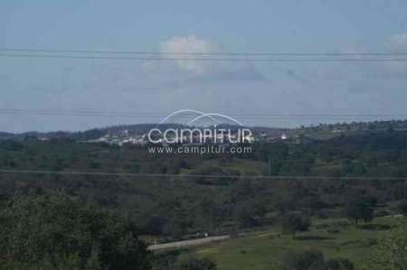 Foto 3 de FINCA DEHESA RUSTICA EN SEVILLA EN VENTA