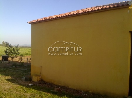 Foto 4 de parcela rustica con casa en azuaga