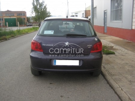 Foto 2 de Peugeot 307