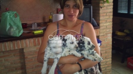 VENDO 2 CACHORRROS  DALMATAS