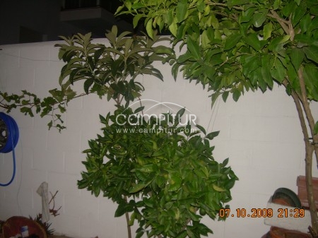 Foto 3 de SE VENDE CASA