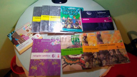 Vendo libros de texto de 6º