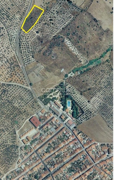  SE VENDE PARCELA CON POZO Y OLIVOS EN MALCOCINADO