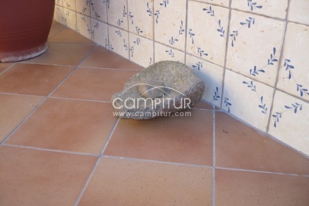 Foto 6 de Se vende Molino del Neolitico