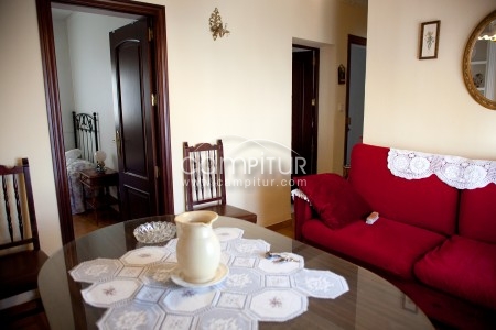 Se vende o alquila piso en el parque 