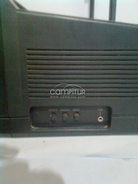 TELEVISION DE 5 PULGADAS EN COLOR 
