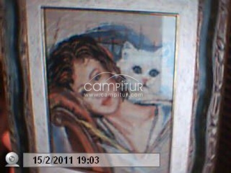LA MUJER Y SU GATO 