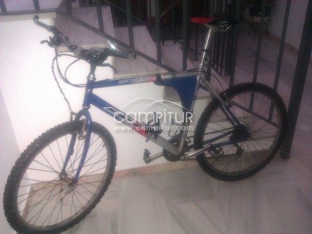 VENDO BH SUPRA 200