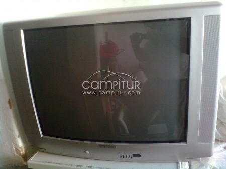 TELEVISION DE 27 PULGADAS