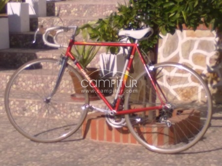 Se Vende Bicicleta de Carrera