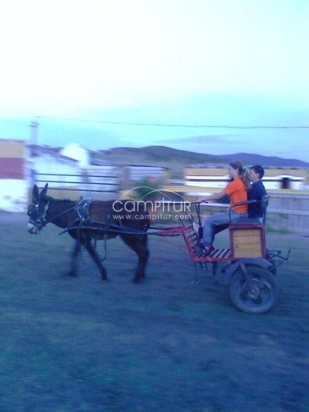 Se vende burro montado y enganchado
