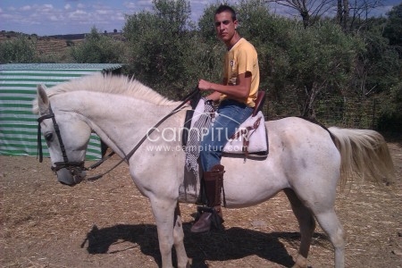 vendo yegua torda