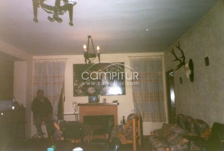Foto 2 de Vendo casa y tierras de campo