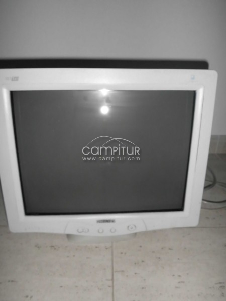 VENDO MONITOR DE ORDENADOR CFT, 19". PANTALLA PLANA