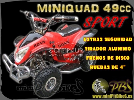 SE VENDE MINIQUADS DE 49 c.c