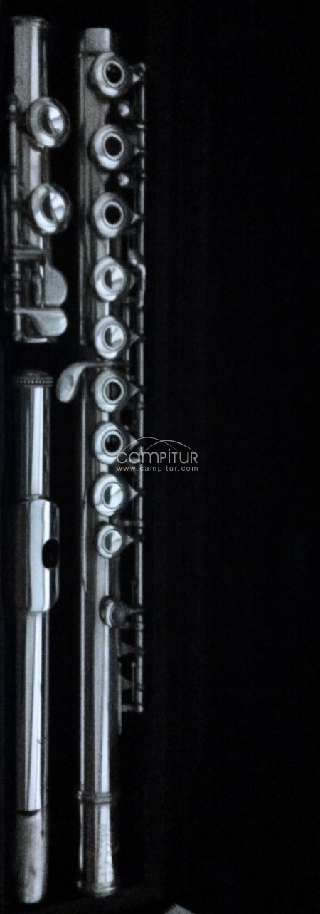 Vendo flauta SANKIO ARTIST CF-401-E