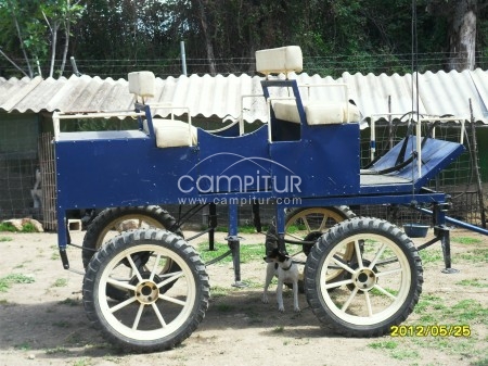 VENDO CARRO FAETON CON TRONCO DE MULAS  MUY ENGANCHADAS