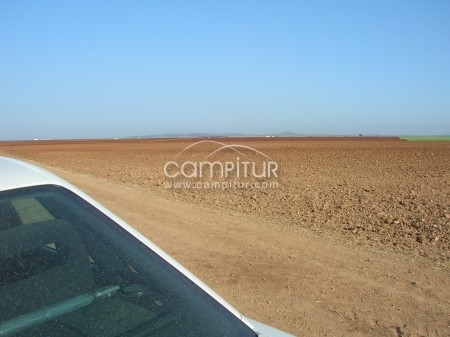  VENDO TIERRAS DE LABOR AZUAGA (BADAJOZ)