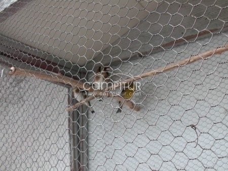 Foto 3 de se cambia