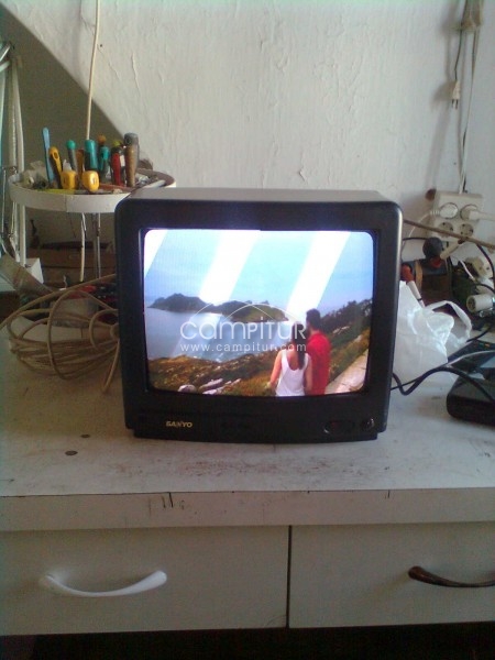 TELEVISION