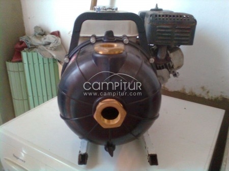 Foto 2 de VENDO MOTOBOMBA