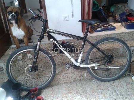 Foto 4 de oferta! !!!!