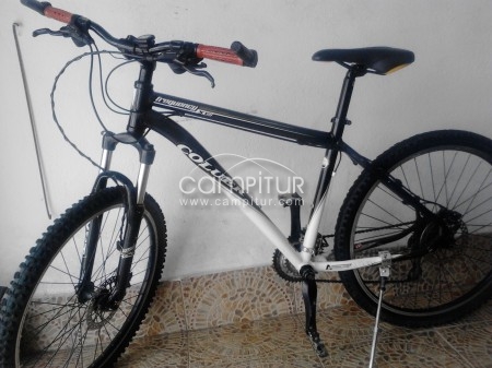 oportunidad