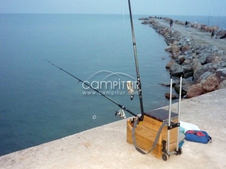 Foto 2 de cajón de pesca artesano