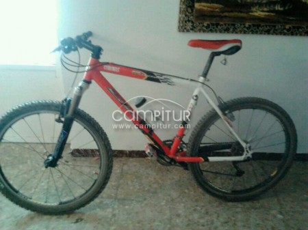 Vendo bicicleta 