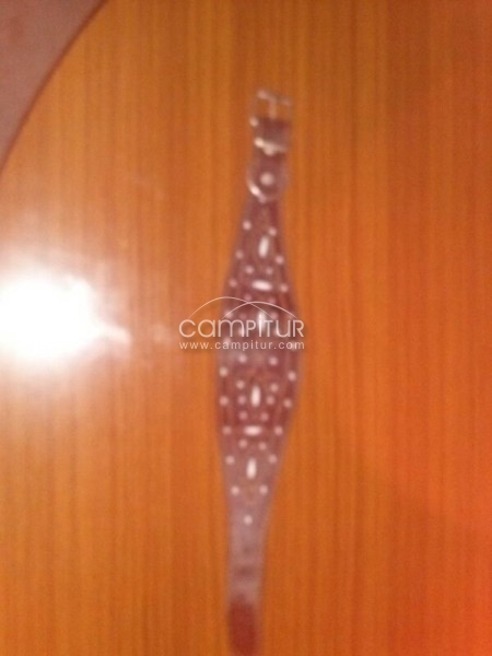 SE VENDEN COLLARES, CORREAS Y TRAILLAS PARA GALGOS