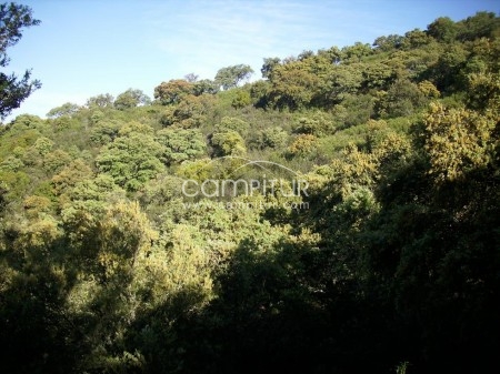 Foto 4 de FINCA RUSTICA PARA HACER CASA RURAL DE 149M2 CAZALLA DE LA SIERRA