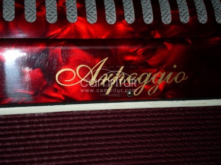 Foto 3 de VENDO ALCORDEON ARPEGGIO