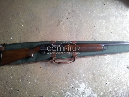 beretta 301