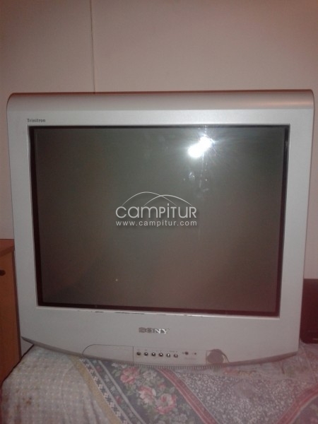  vendo televisión sony de 21 pulgadas y motor elevalunas