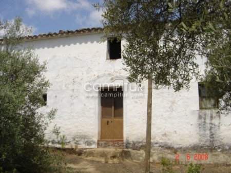 finca de olivar entre Alanis y Guadalcanal