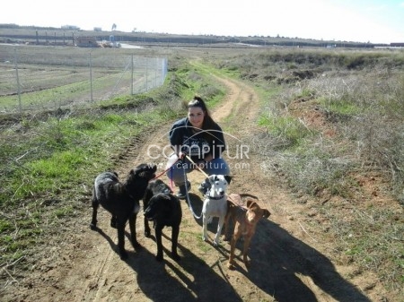 Foto 2 de DEJA TU HUELLA, DONACIONES PARA AYUDAR A ANIMALES ABANDONADOS.