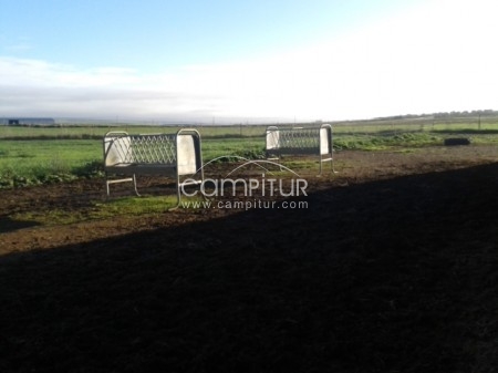 COMEDERO GALVANIZADO PARA CABALLOS