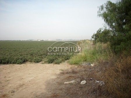 Foto 2 de Finca rústica 14 Has EN VENTA en Dos Hermanas (Sevilla)