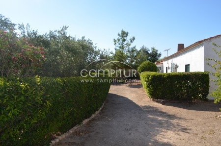 Foto 2 de se vende parcela con cortijo