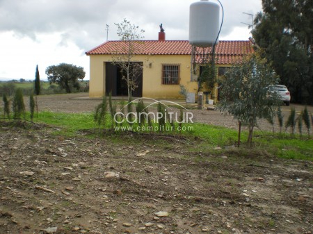 Foto 3 de Venta o cambio de parcela con cortijo