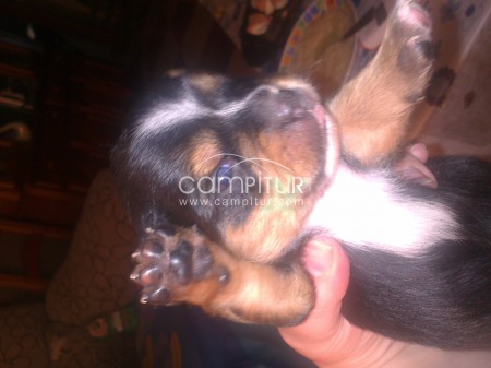 SE VENDE